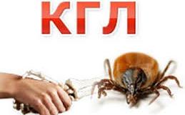 КЕНЕДЕН АБАЙ БОЛЫҢЫЗ