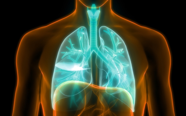 Медицинская реабилитация пациентов с хронической обструктивной болезнью легких (взрослое население). Клинический протокол МЗ Беларуси