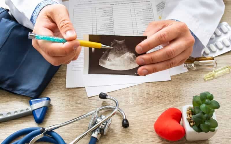 Гипонатриемия при сердечной недостаточности (Heart Failure Reviews, февраль 2026)