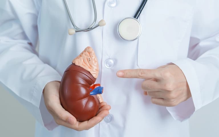 Клинические особенности, обследование и лечение болезни Аддисона (Lancet Diabetes & Endocrinology, январь 2026)