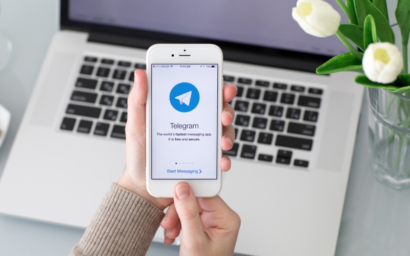 Мы открыли свой Telegram-канал