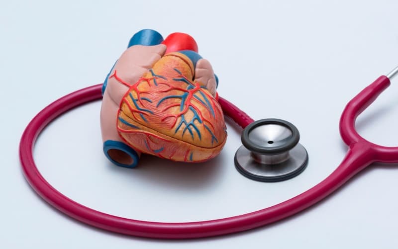 Современная практика коронарной физиологии: международный опрос интервенционных кардиологов (Cardiovascular Revascularization Medicine, март 2026)