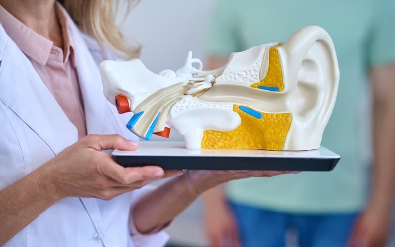 Диагностика и лечение пациентов с нарушениями вестибулярной функции при болезнях внутреннего уха (взрослое население). Клинический протокол МЗ Беларуси