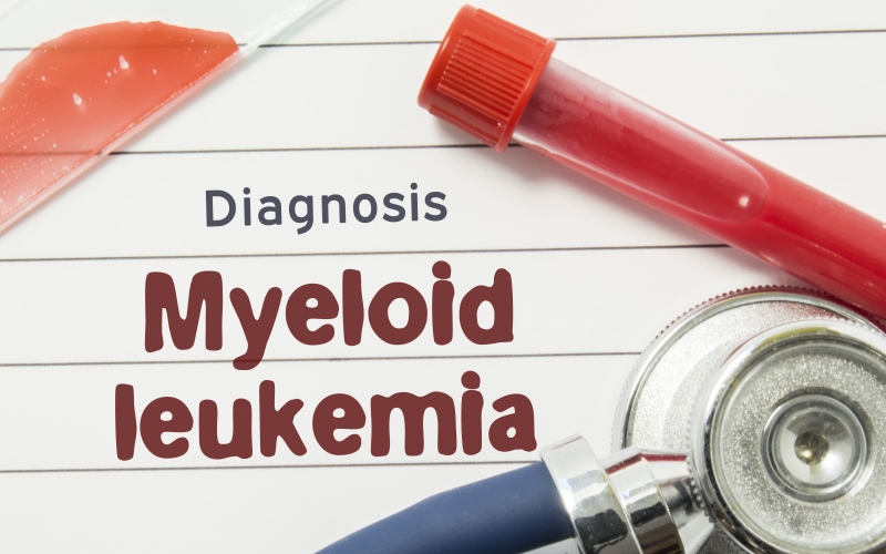 Острый миелоидный лейкоз у пожилых (Leukemia Research, июнь 2023)