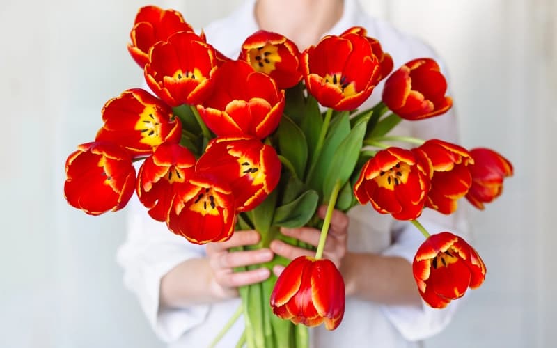 8 марта! Поздравляем, дорогие женщины!