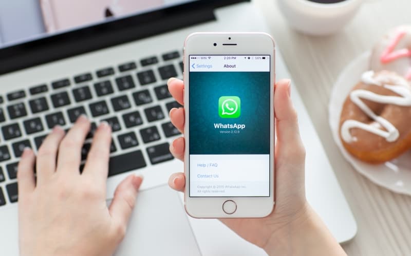 WhatsApp-рассылки для пациентов из МИС 