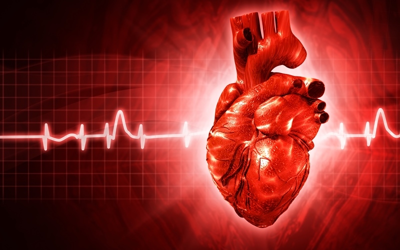 Мерцательная аритмия (Annals of Internal Medicine, июль 2023)