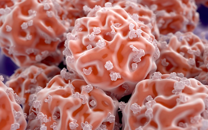 Профилактика и лечение реакции "Трансплантат против хозяина" после трансплантации стволовых клеток при гематологических злокачественных новообразованиях (Lancet Haematology, январь 2024)