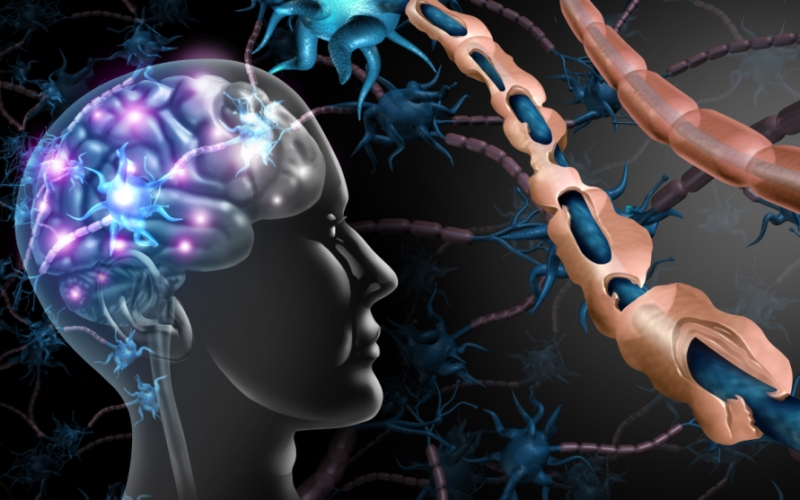 Кого тестировать на анти-MOG-IgG? (Annals of Neurology, сентябрь 2023)