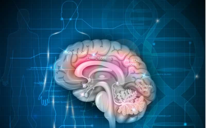 Пациенты на исследование ESCAPE-MeVO набраны (International Journal of Stroke, июнь 2024)