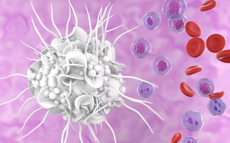 Диагностика и лечение пациентов старше 18 лет с вновь диагностированным острым миелоидным лейкозом. Клинический протокол МЗ Беларуси