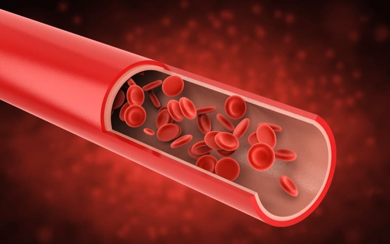 Антитромбоцитарная и антикоагулянтная терапия в руководстве ACC/AHA по лечению острых коронарных синдромов 2025 года: основные рекомендации (JACC, июнь 2025)