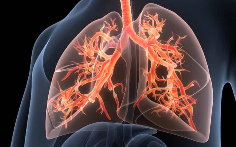 Легочные грибковые инфекции у иммунокомпетентного пациента (Chest, январь 2026)