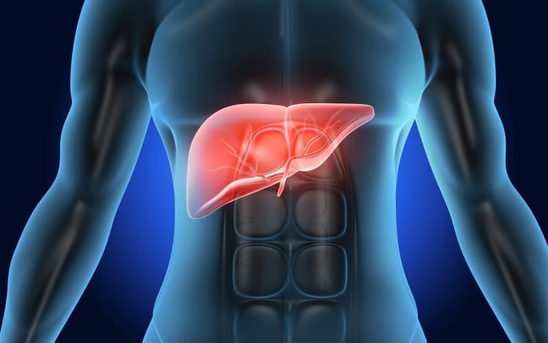 Лекарственные поражения печени (ЛПП) у взрослых. Клинические рекомендации МЗ России
