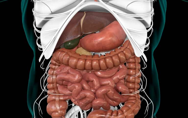 Руководство по эндоскопической эрадикационной терапии пищевода Барретта и связанных с ним неоплазий (AGA, май 2024)