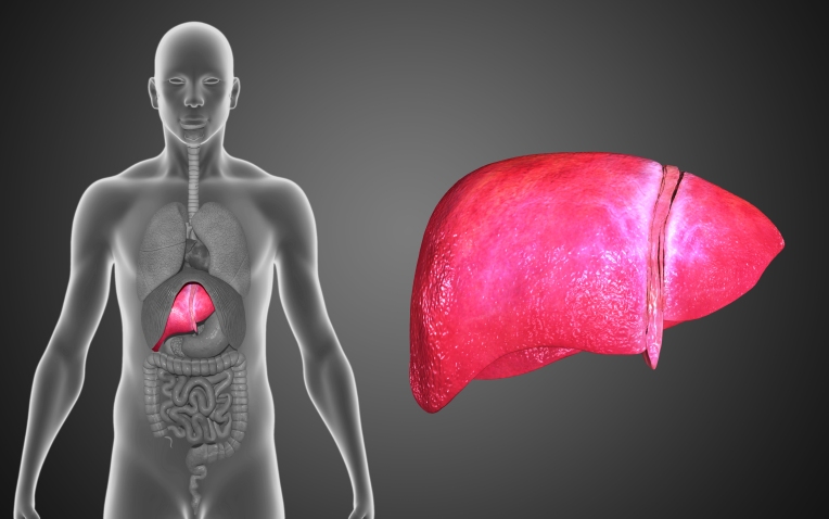 Руководство по стратификации риска и лечению портальной гипертензии и варикозного расширения вен при циррозе печени (AASLD, октябрь 2023)