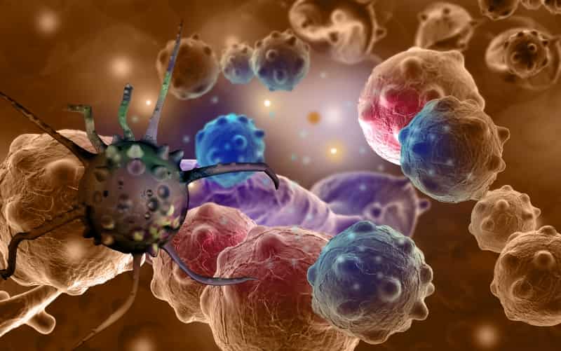 Новые подходы к лечению первой линии при мантийноклеточной лимфоме (Leukemia & Lymphoma, ноябрь 2025)