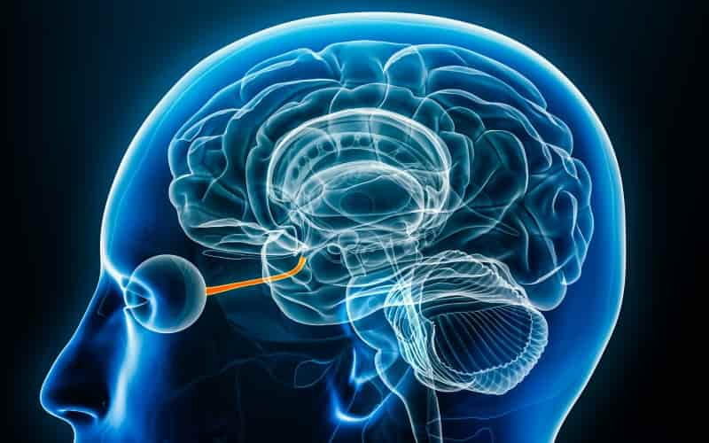 Клинический спектр синдрома, связанного с анти-GQ1b антителами (JAMA Neurology, май 2024)