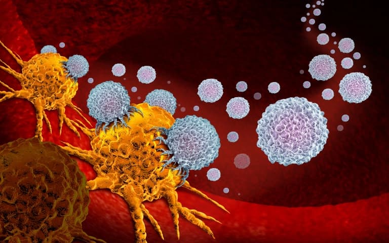 Синдром лизиса опухоли (Nature Reviews Disease Primers, август 2024)