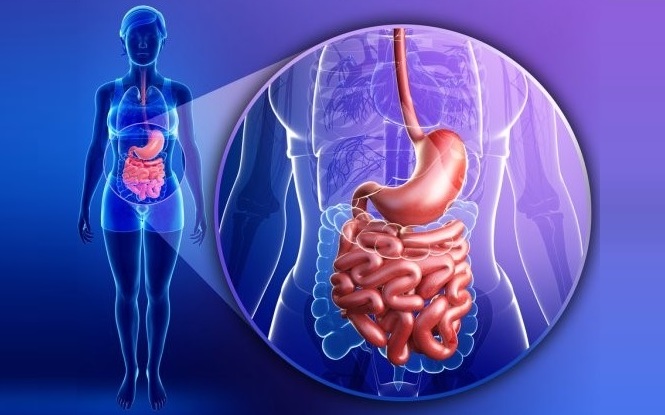 Руководство по лечению резервуарита и воспалительных заболеваний резервуара (AGA, декабрь 2023)