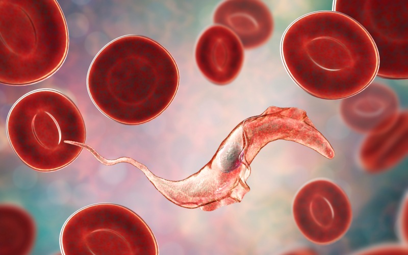 Болезнь Шагаса (Lancet, январь 2024)