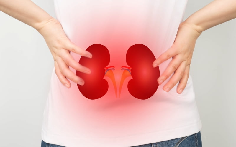 Оптимальное лечение пациентов с запущенным хроническим заболеванием почек, прогрессирующим до почечной недостаточности (Nature Reviews Nephrology, февраль 2026)