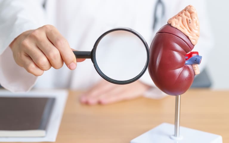 Хроническая болезнь почек для врача амбулаторного звена (Disease-a-Month, январь 2026)