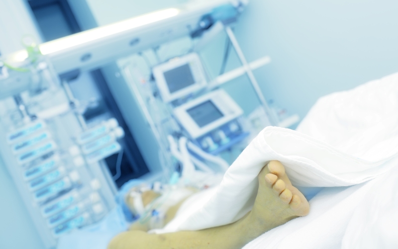 Кампания "Выжить при сепсисе после ожога" (Burns, ноябрь 2023)