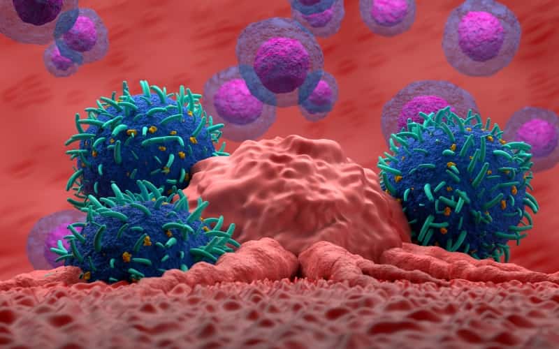 Терапия первой линии при хроническом лимфолейкозе: вариантов множество (Nature Reviews Clinical Oncology, февраль 2026)