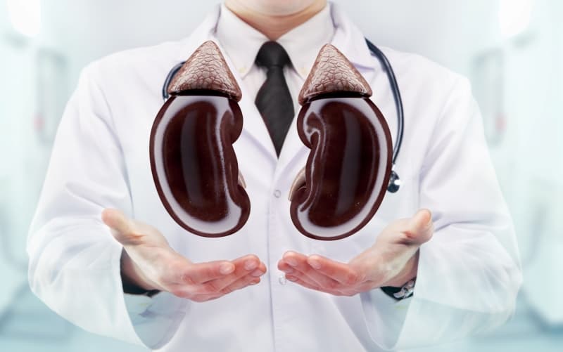 Подоцитопатии (Nature Reviews Disease Primers, декабрь 2025)