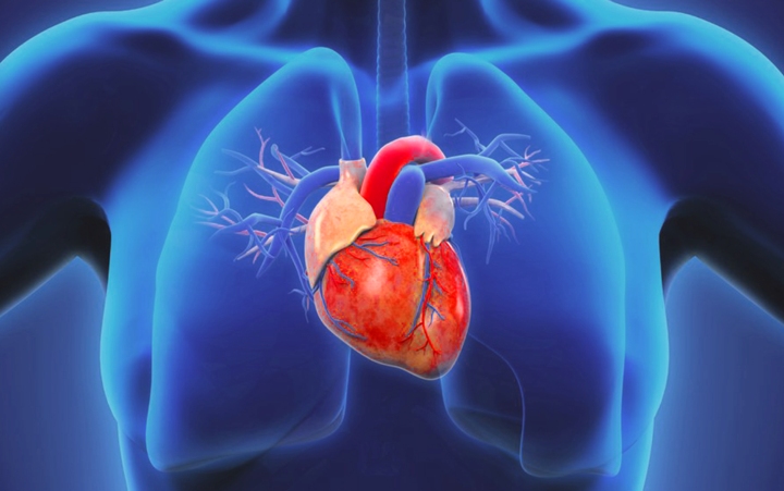 Механизмы острого правожелудочкового повреждения (Journal of Cardiothoracic and Vascular Anesthesia, июнь 2023)