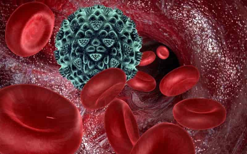 Обновленное понимание трансформации фолликулярной лимфомы (Blood, май 2025)