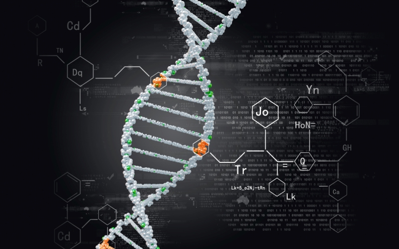 Молекулярно-генетический анализ мутаций, химерных транскриптов и вариантов копийности. Клинический протокол МЗ Казахстана