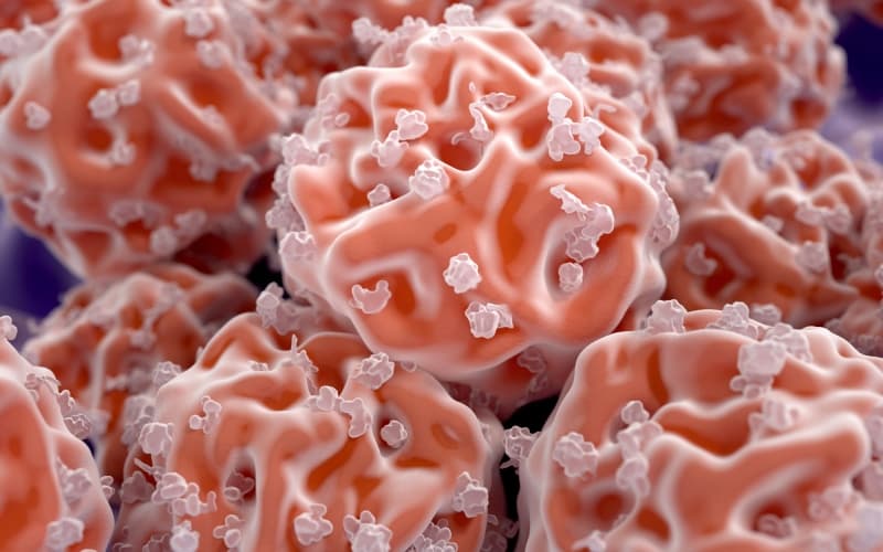 Аллогенная трансплантация костного мозга. Клинический протокол МЗ Казахстана