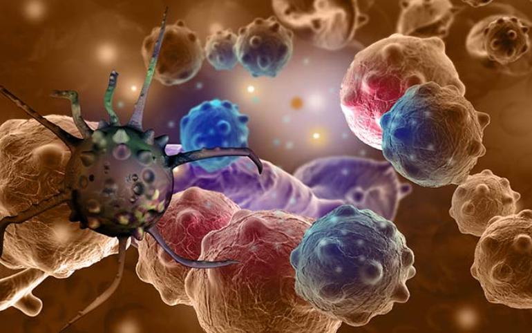 Плазмобластная лимфома: влияние иммунодефицита, особенностей заболевания и характеристик пациента на выживаемость (Blood, январь 2024)