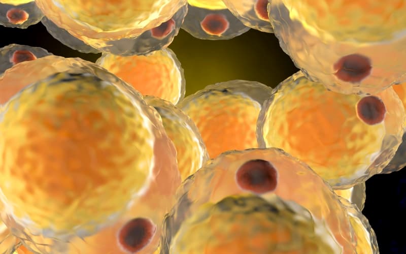 Новые пероральные препараты в фармакотерапии ожирения (Diabetes, Obesity and Metabolism, июль 2025)