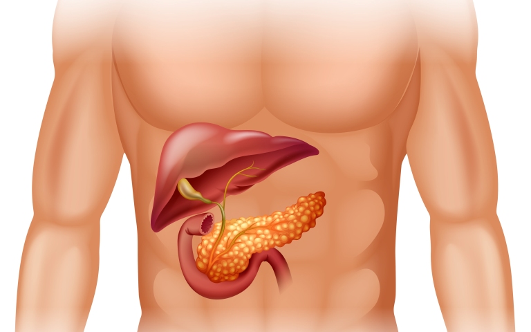 Аутоиммунный панкреатит 1 типа в Европе: клинический профиль и реакция на лечение (Clinical Gastroenterology and Hepatology, январь 2024)