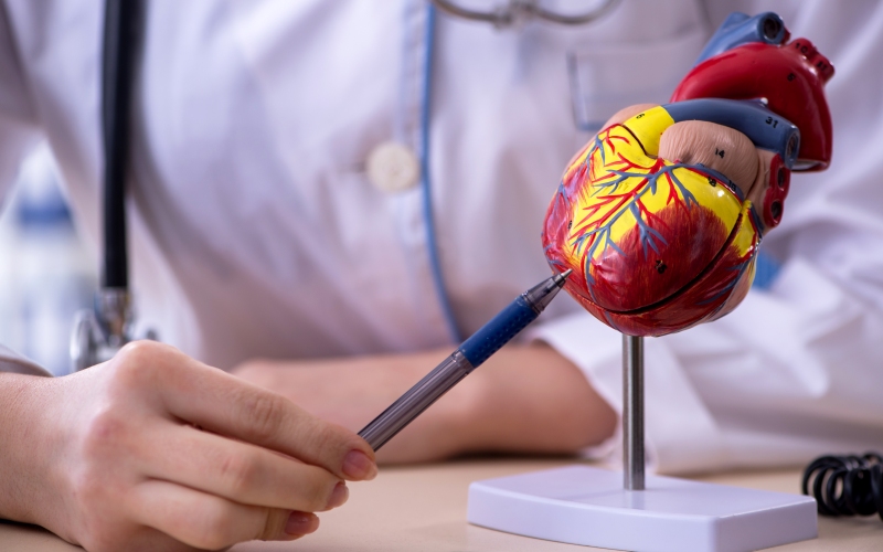 Новые устройства для лечения сердечной недостаточности (Progress in Cardiovascular Diseases, январь 2024)