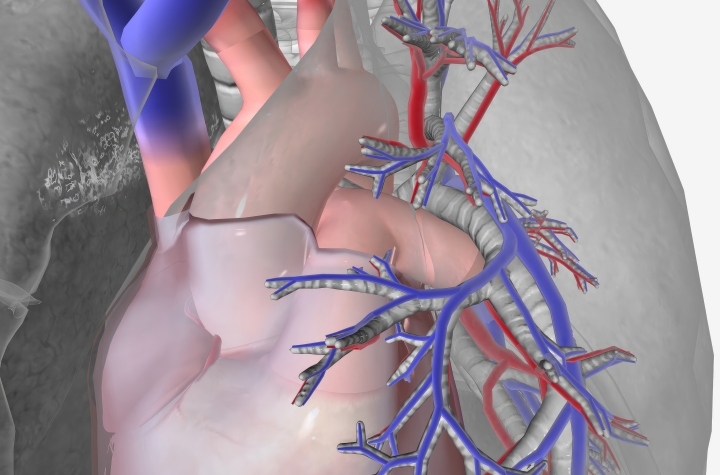 Улучшение закрытия ушка левого предсердия (JACC: Cardiovascular Interventions, август 2023)