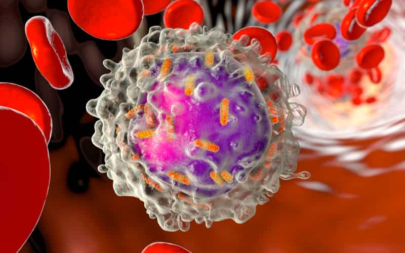 Ph-положительный острый лимфобластный лейкоз у взрослых (Blood, август 2024)