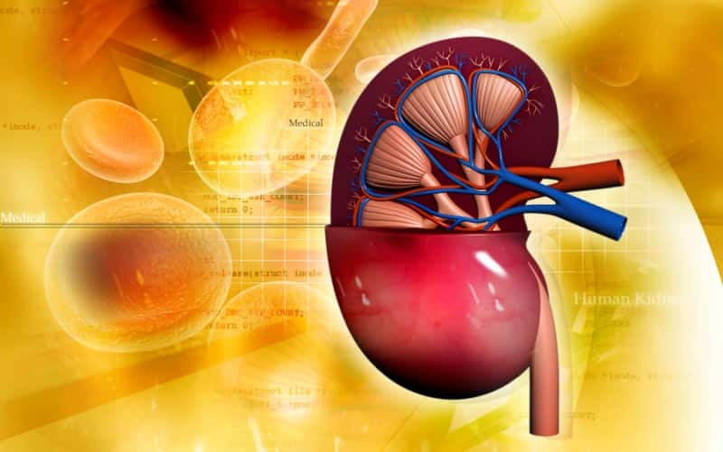 Нефролитиаз: факторы риска, патофизиология и лечение (Nature Reviews Nephrology, август 2025)