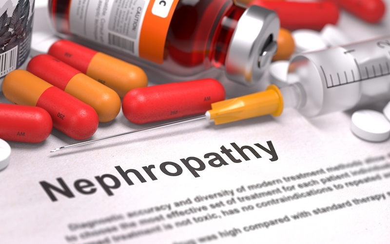 IgA-нефропатия у взрослых (Nephrology Dialysis Transplantation, июль 2023)