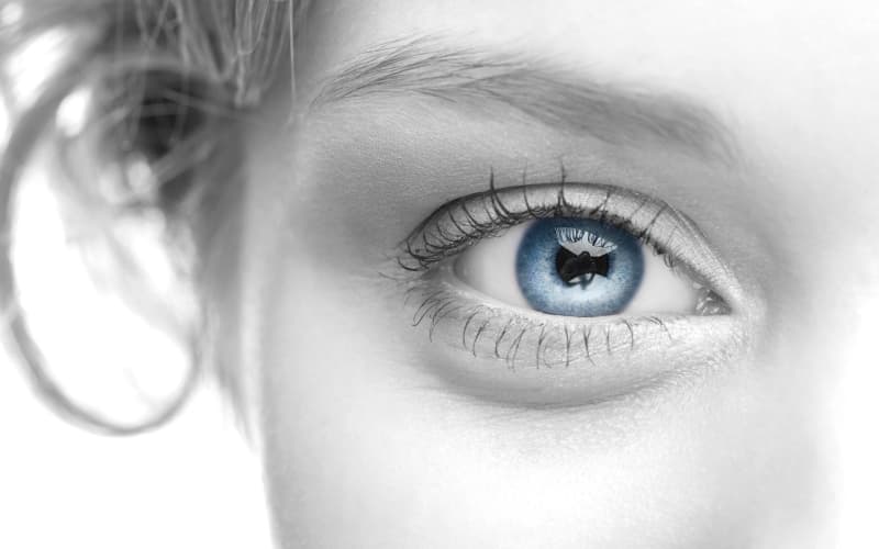 Эндоскопические методы лечения первичных доброкачественных новообразований орбиты: отбор пациентов, классификация и техники (Current Otorhinolaryngology Reports, апрель 2026)