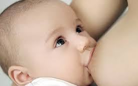 Грудное молоко является оптимальным питанием для развития ребенка