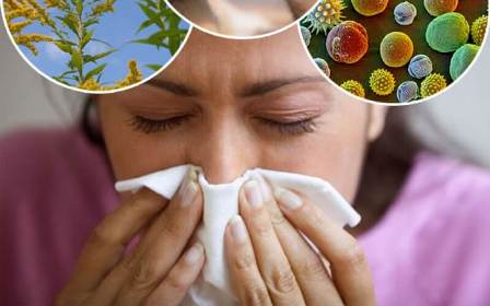 30 мая отмечаются Всемирный день астмы и Всемирный день больного аллергией