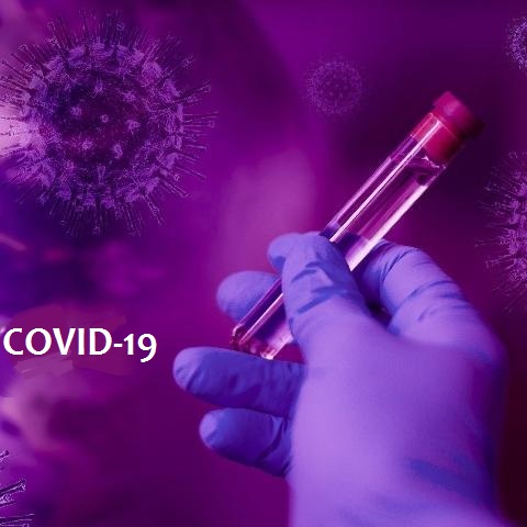 Проверьте себя на наличие антител к COVID-19