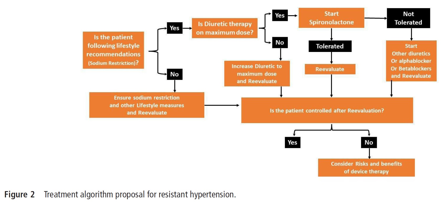 Диагностика и лечение резистентной артериальной гипертензии (Heart ...