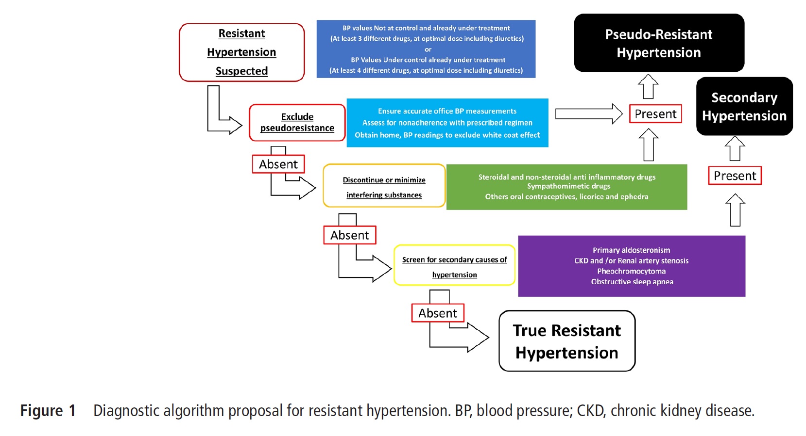 Диагностика и лечение резистентной артериальной гипертензии (Heart ...