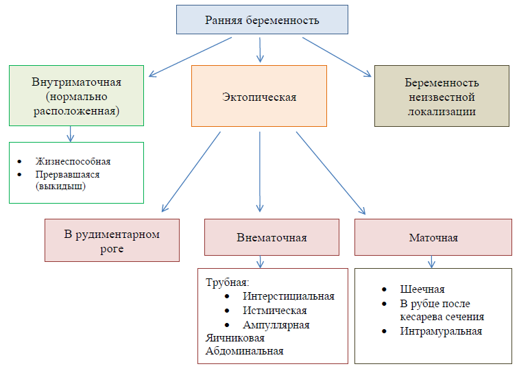 Krovotecheniya-v-pervoj-polovine-beremennostipptx