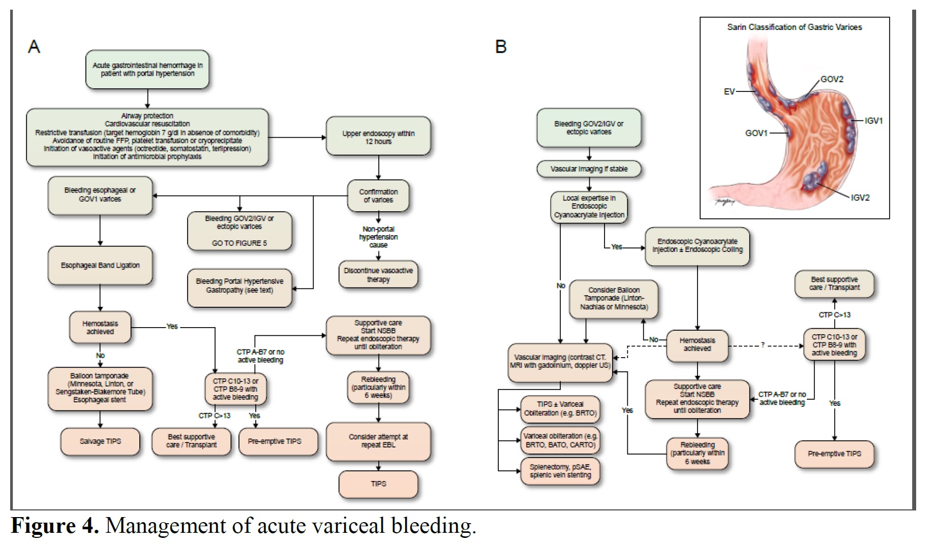 Руководство по стратификации риска и лечению портальной гипертензии и ...